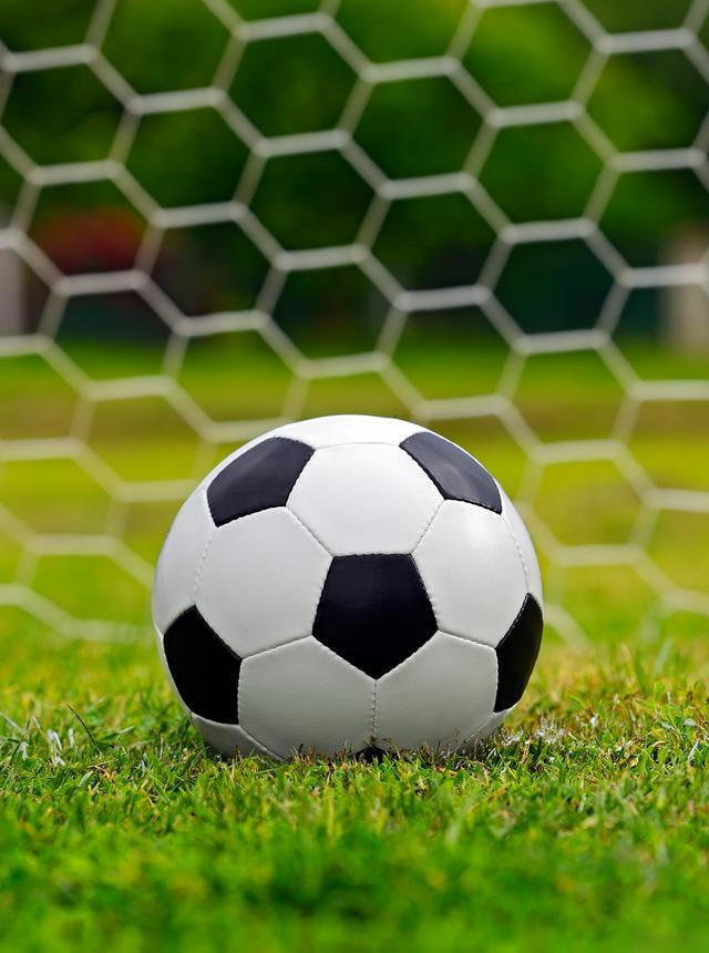 今日足彩竞彩比分推荐310应用下载界面展示